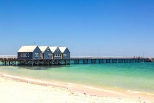 Margaret River Day Tour With Wildlife Cruise & Wine Tasting