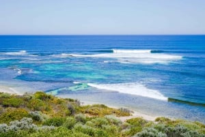 Margaret River Day Tour With Wildlife Cruise & Wine Tasting