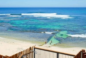 Margaret River Day Tour With Wildlife Cruise & Wine Tasting