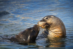 Margaret River Day Tour With Wildlife Cruise & Wine Tasting