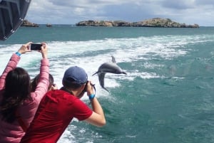 Margaret River Day Tour With Wildlife Cruise & Wine Tasting