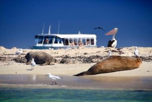 Margaret River Day Tour With Wildlife Cruise & Wine Tasting