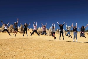 Perth: 7 dages Exmouth Explorer & Ningaloo Reef retur Perth