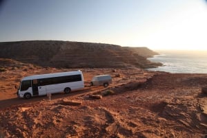 Perth: 7 dages Exmouth Explorer & Ningaloo Reef retur Perth