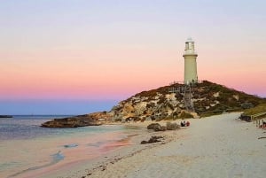 【Perth】 7 dagers pakkereise til Perth og Rottnest Island