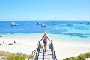 【Perth】7 päivän Perth & Rottnest Island paketit