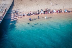 Perth: 8-Day Exmouth Tour with Ningaloo Reef Comfort Tour