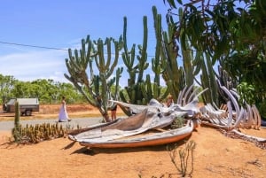 Perth: 8-Day Exmouth Tour with Ningaloo Reef Comfort Tour