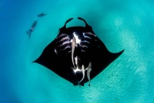 Perth: 8-Day Exmouth Tour with Ningaloo Reef Comfort Tour