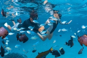 Perth: 8-Day Exmouth Tour with Ningaloo Reef Comfort Tour