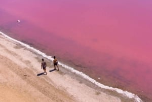 Perth: 8-Day Exmouth Tour with Ningaloo Reef Comfort Tour