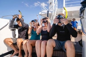 Perth: 8-Day Exmouth Tour with Ningaloo Reef Comfort Tour