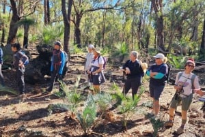 Perth: Experiencia de senderismo por las rocas de Abisinia