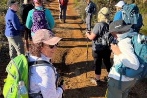 Perth: Experiencia de senderismo por las rocas de Abisinia