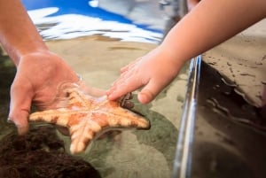 Perth: AQWA Aquarium of Western Australia Entry Tickets