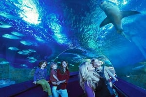 Perth: Tickets für das AQWA Aquarium of Western Australia