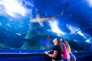 Perth: toegangskaarten voor AQWA Aquarium of Western Australia