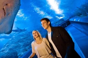 Perth: Adgangsbilletter til AQWA Aquarium of Western Australia