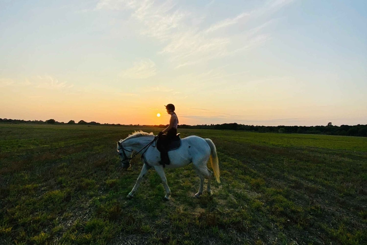 Perth, Australien: 1 timmes naturskön ridtur