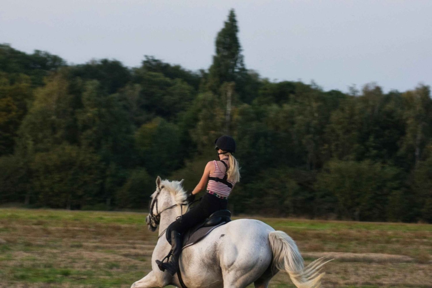 Perth, Australien: 1 timmes naturskön ridtur