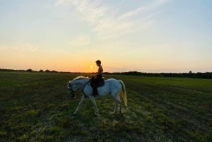 Perth, Australien: 1 timmes naturskön ridtur