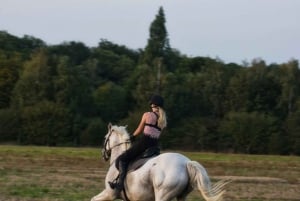 Perth, Australien: 1 timmes naturskön ridtur