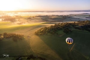 Perth : Vol en montgolfière dans la vallée d'Avon