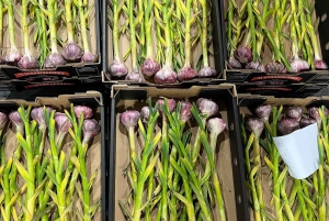 Perth: culinaire tour achter de schermen met ontbijt