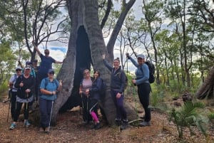 Perth: Bibbulmun Track vaellus kokemus lounaalla