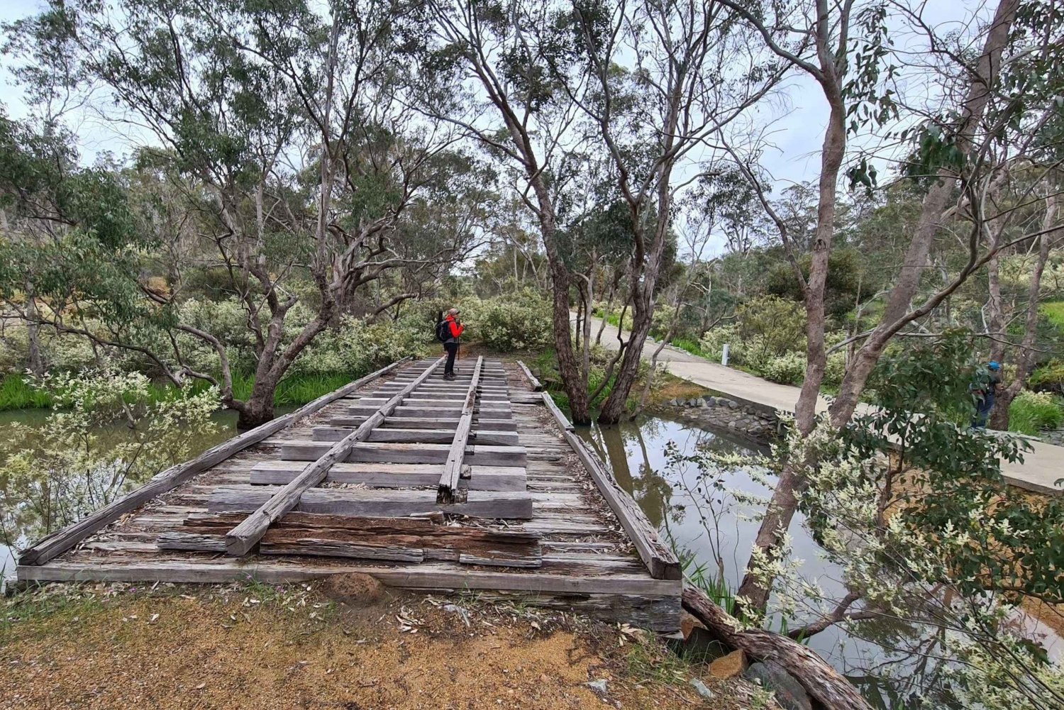 Perth: Experiência de caminhada em Bickley Valley com chá da manhã