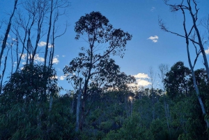 Перт: поход в долину Бикли с утренним чаем
