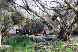 Перт: поход в долину Бикли с утренним чаем