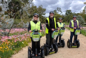 Tour alla scoperta di Blue Boat House e Kings Park