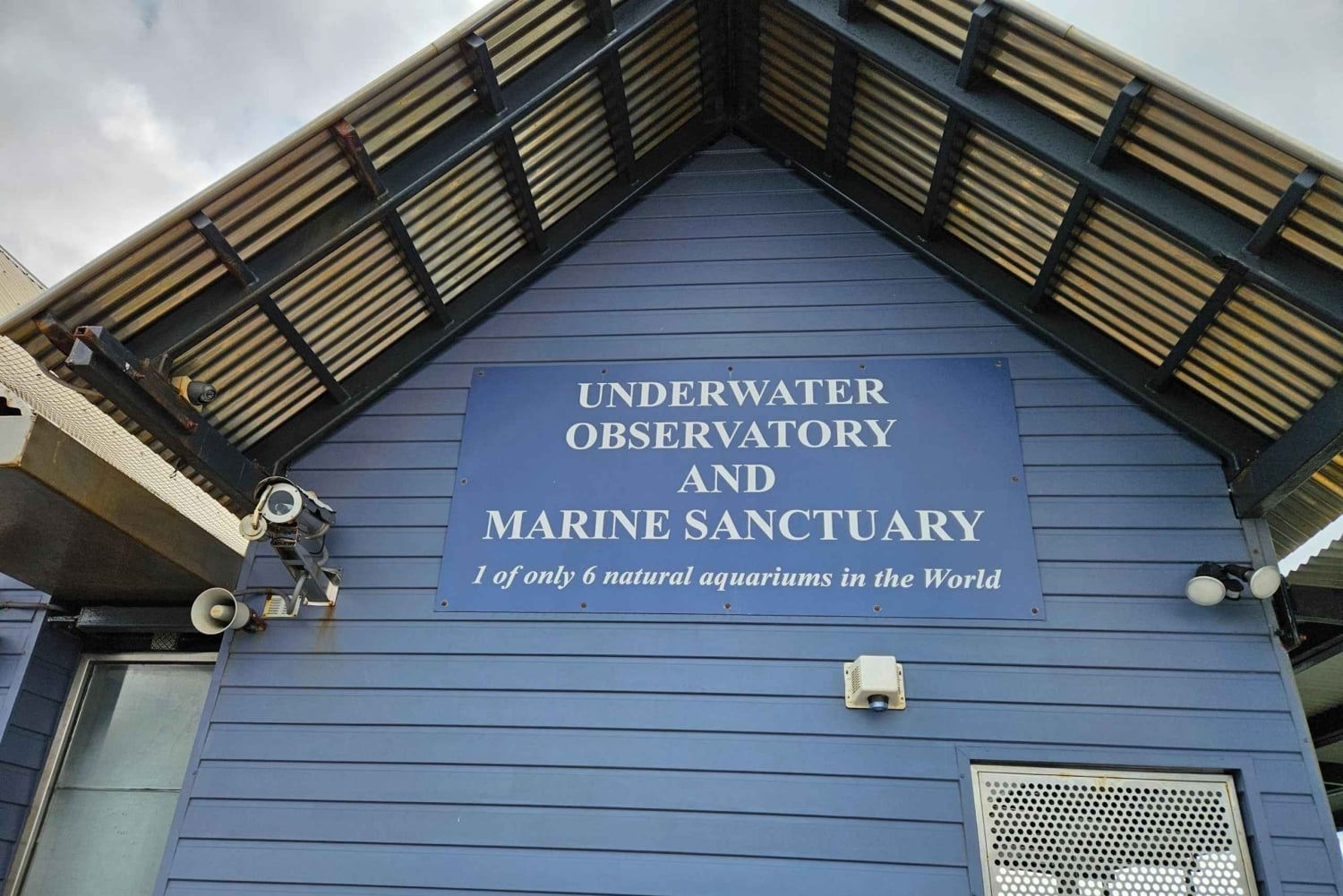 Perth : visite guidée d'une journée complète de la jetée de Busselton
