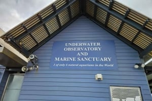 Perth : visite guidée d'une journée complète de la jetée de Busselton