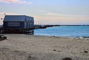 Perth : visite guidée d'une journée complète de la jetée de Busselton