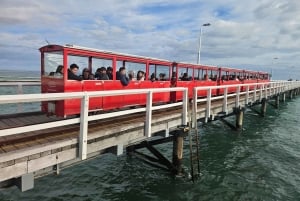 Perth : visite guidée d'une journée complète de la jetée de Busselton