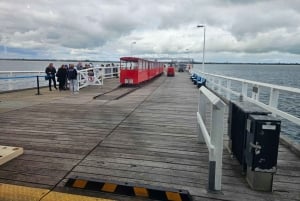 Perth : visite guidée d'une journée complète de la jetée de Busselton