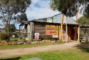 Perth : visite guidée d'une journée complète de la jetée de Busselton