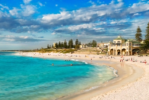 Perth: City Highlights, Wildlife Park and Swan Valley Tour