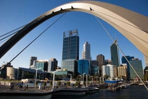 Perth: City Highlights, Wildlife Park and Swan Valley Tour