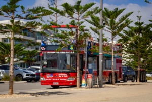 Perth: Coastal Hop-on Hop-off Bus Day Ticket