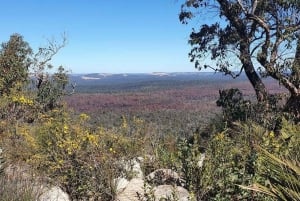 Perth: Darling Range Twin Peaks Hike with Morning Tea