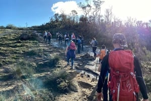 Perth: Darling Range Twin Peaks Hike with Morning Tea