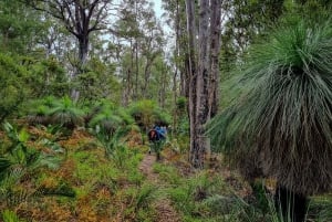 Perth: Tåg, stigar och vedeldade läckerheter i Dwellingup