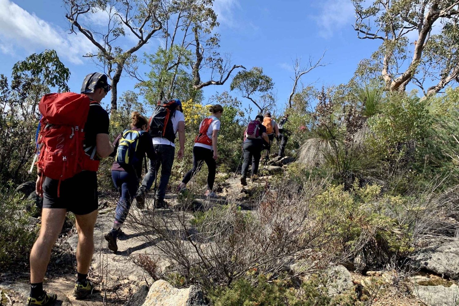 Perth: Caminhada de resistência nos Quatro Picos