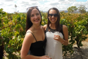 Perth: Full Day Swan Valley Cruise & Wine Tasting With Lunch