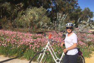 Perth: Guided Bike Tour around Matilda Bay and Kings Park