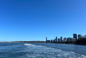 Perth: Opastettu vesiskootterikierros freestyle-sessioineen