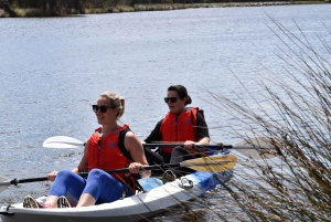 Perth: Guided Kayak Tour around Canning River Wetlands